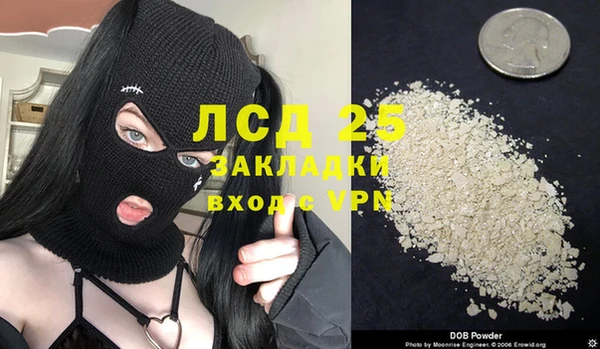 гидра Козловка