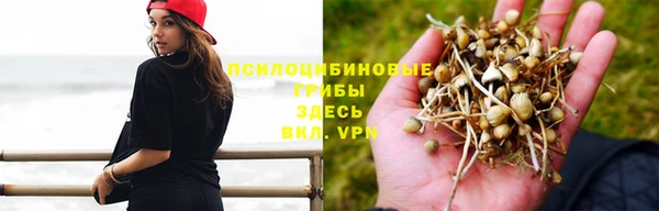 спайс Козельск