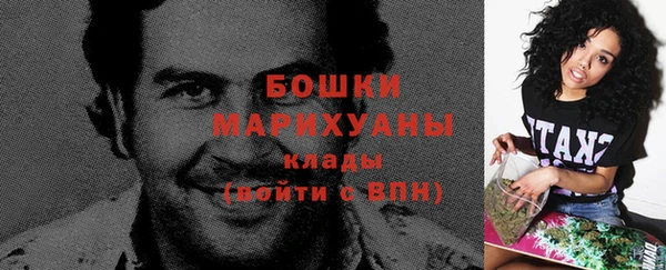 гидра Козловка